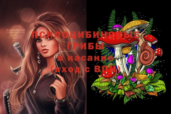 COCAINE Новозыбков