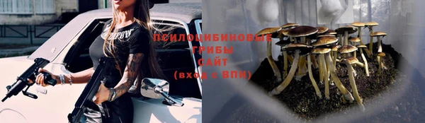 дмт Новокубанск
