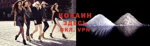 дмт Новокубанск
