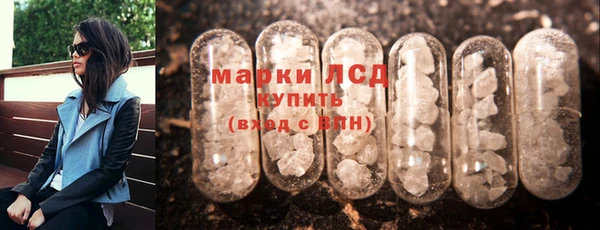 spice Щигры