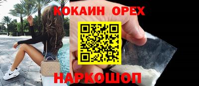 гидропоника Гатчина