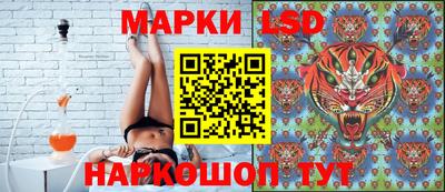 гидропоника Гатчина