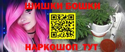 дмт Гай