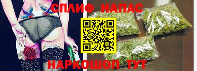 дмт Гай