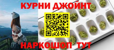 дмт Гай
