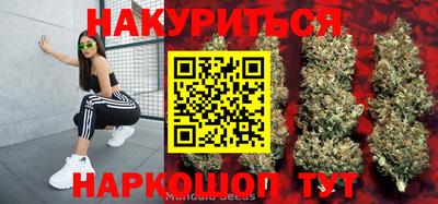 дмт Гай