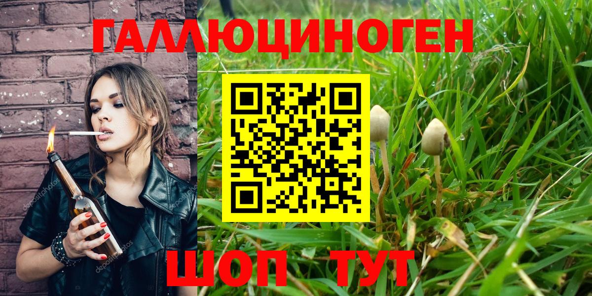 Псилоцибиновые грибы MAGIC MUSHROOMS  Губаха 