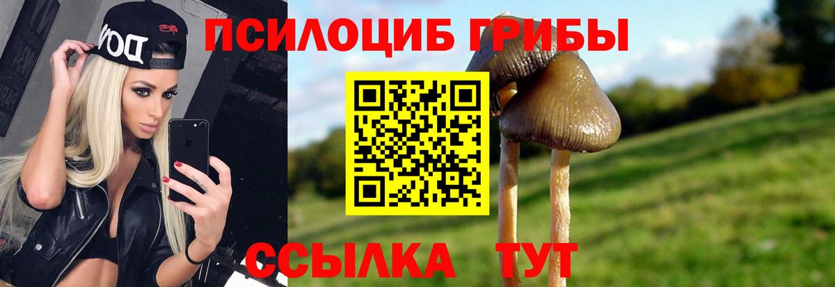 Галлюциногенные грибы Psilocybine cubensis  Вход с VPN  Губаха  Псилоцибиновые грибы Psilocybe 