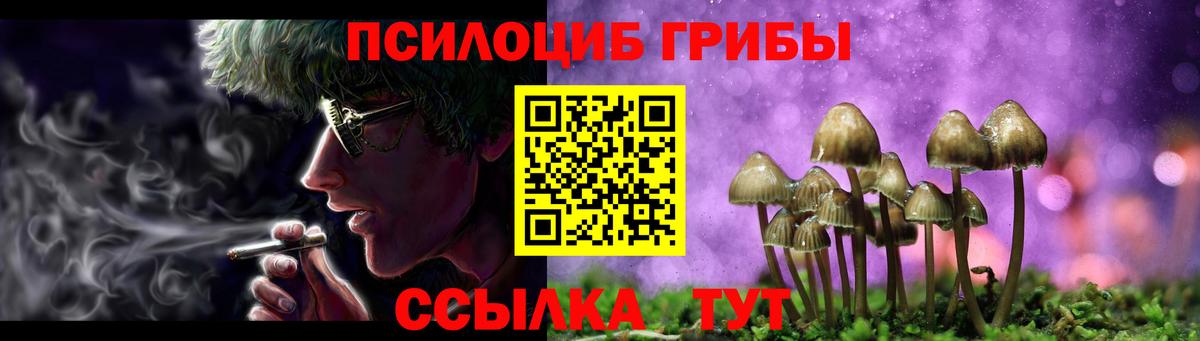 Галлюциногенные грибы Psilocybine cubensis Губаха